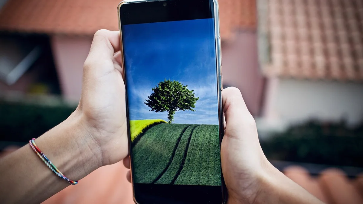 Ağaçların önünde elde tutulan kapalı ekranlı telefon