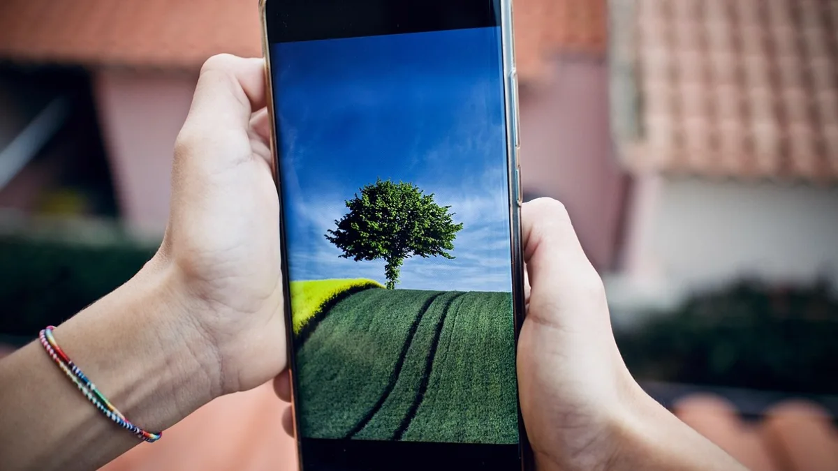 Ağaçların önünde elde tutulan akıllı telefon