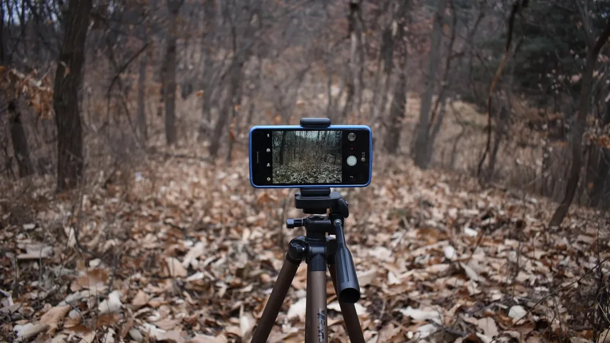 Ormanda tripod üzerindeki telefonla yapılan video çekimi