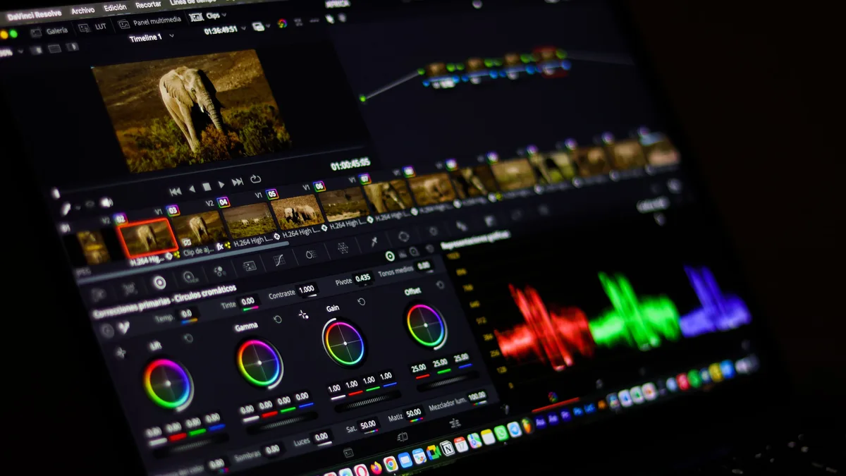 Ekranda renk çarkları, waveform ve video zaman çizelgesi bulunan kurgu yazılımı